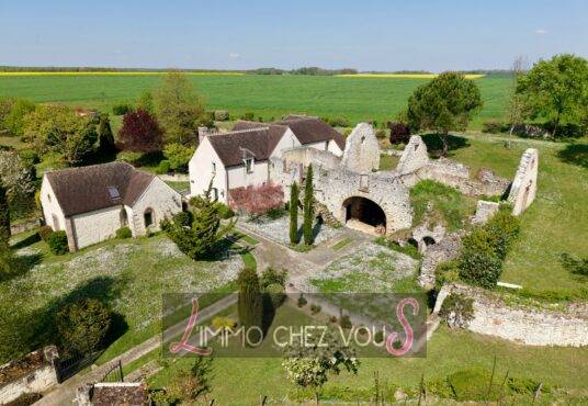 245 – Propriété de Caractère à Vendre à Donnemarie Dontilly -  - A VENDRE – PROPRIETE DE CARACTERE AU PATRIMOINE PRESERVE – DONNEMARIE-DONTILLY, SEINE ET MARNE UN…