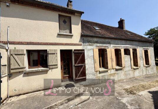 253 – Maison de village à Vendre à SERGINES -  - À Vendre – Maison à Sergines (89) Surface généreuse – Gros potentiel – Parcelle de…