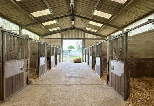 280 – Ecurie 21 box à vendre-Secteur PROVINS-77 -  - Découvrez cette structure équestre d’environ 4,5 hectares, idéalement située dans le secteur de Provins, en…
