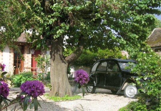 296 – Gîte à vendre entre Sens (89) et Montereau-fault-Yonne (77) -  - Opportunité rare : Gîte & chambres d&rsquo;hôtes de charme dans un cadre historique et paisible…