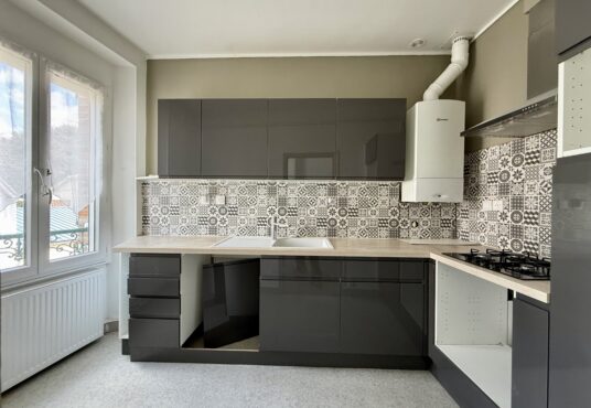 293 – Appartement en Duplex à Vendre à SENS (89) -  - Découvrez ce magnifique appartement en duplex de 4 pièces, idéalement situé au cœur de Sens.…